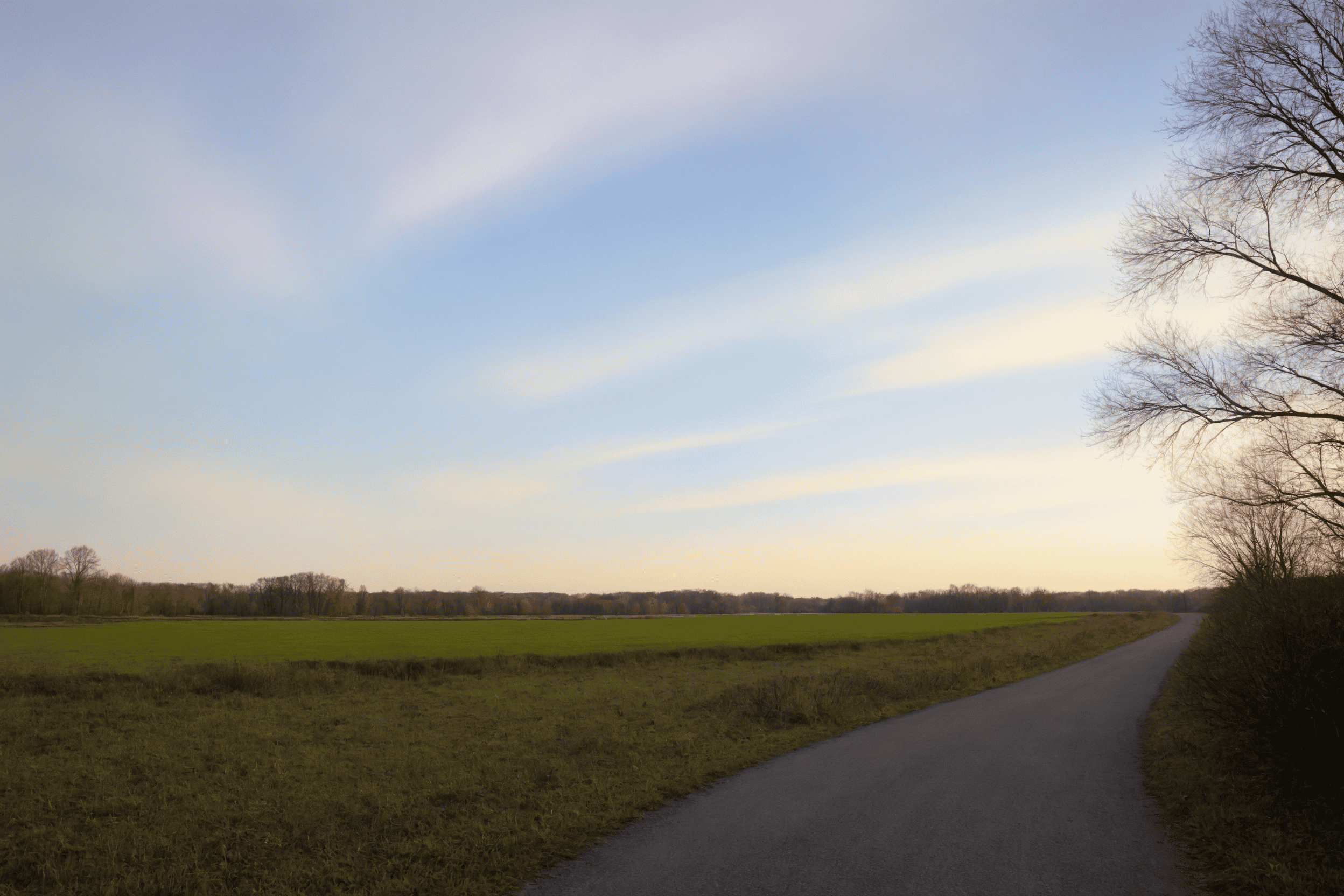 Die Landschaft zu erhalten ist ein wichtiges Ziel eines Bürgermeisters in Löbnitz.